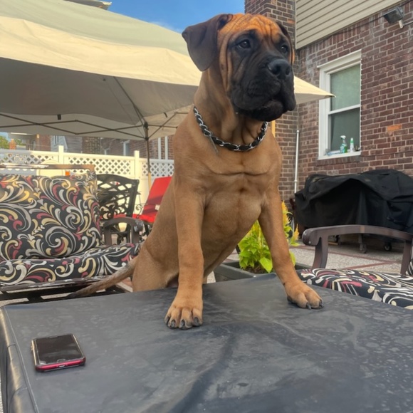 Meet your Posher, Lisa - Picture 7 of 11